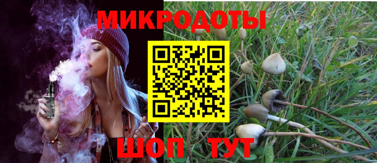 Псилоцибиновые грибы Cubensis Владимир