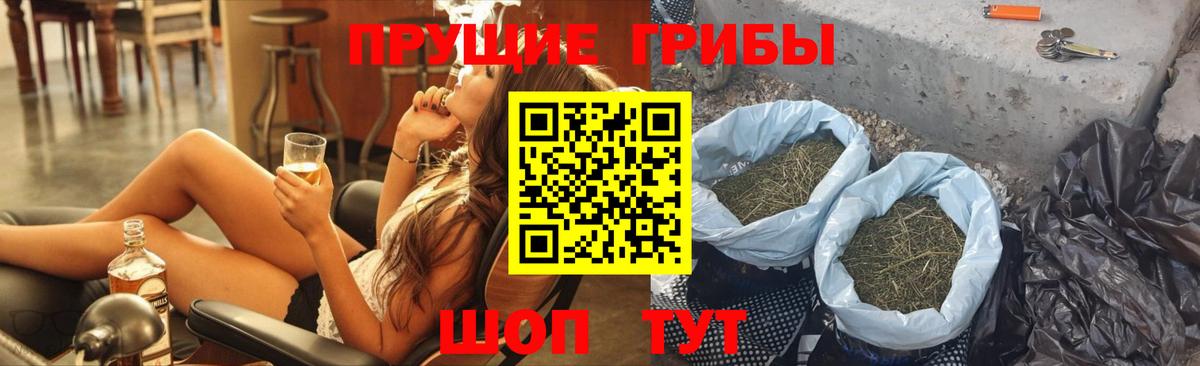 Галлюциногенные грибы MAGIC MUSHROOMS  купить   Владимир  Вход с VPN 